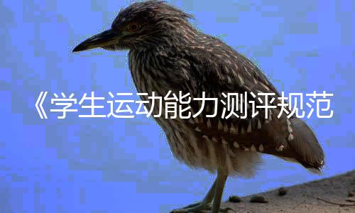 《学生运动能力测评规范》国家标准如何重塑体育课?