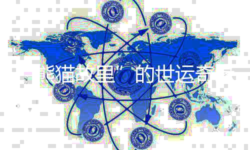 “熊猫故里”的世运奇缘:像爱大熊猫一样爱中国的一切