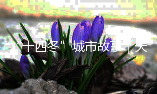 “十四冬”城市故事|天天都有那达慕,这里是陈巴尔虎旗