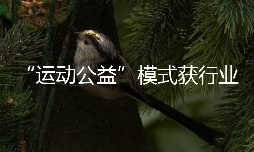 “运动公益”模式获行业认可,Keep荣获第十三届公益节两大奖项