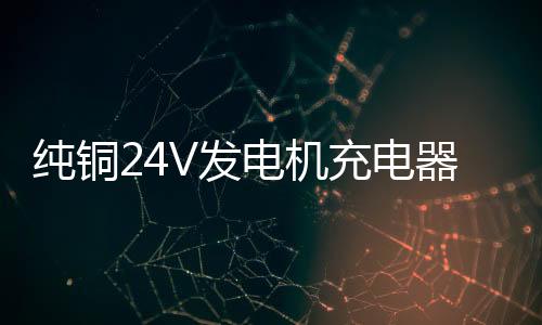 纯铜261141334V发电机充电器126114133V叉车货车通用大功率蓄电池电瓶汽车充电器