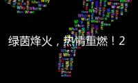 绿茵烽火，热情重燃！2024中国网络媒体足球精英赛开幕