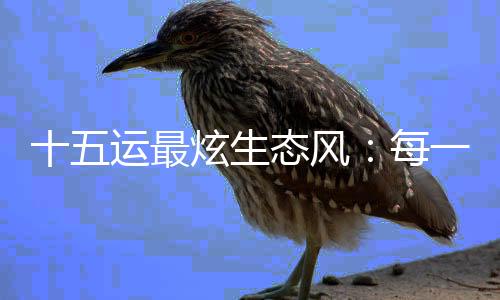 十五运最炫生态风:每一头白海豚,都是游动的GDP