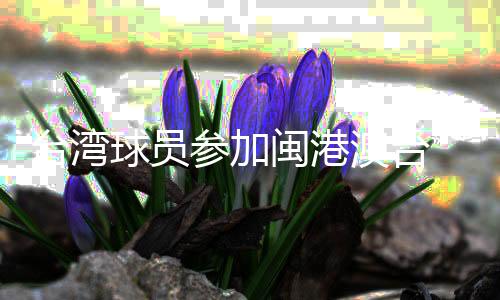 台湾球员参加闽港澳台“同心杯”篮球邀请赛:以球会友促交流