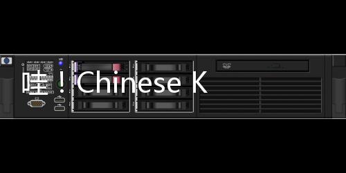 哇!Chinese Kungfu!中国传统体育项目点燃巴黎街头