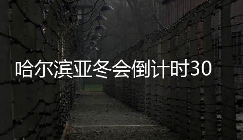 哈尔滨亚冬会倒计时30天:冰雪同梦,亚洲同心