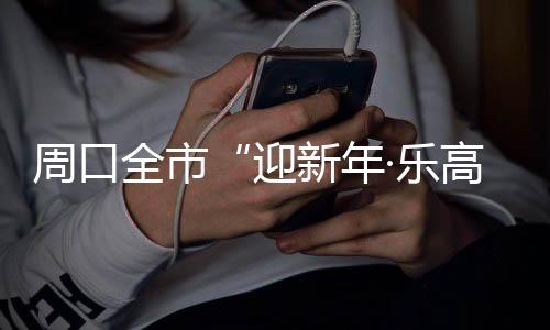 周口全市“迎新年·乐高体育”羽毛球邀请赛圆满落幕