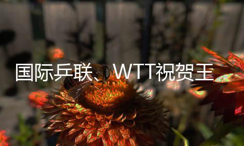 国际乒联🏊🏼♀️、WTT祝贺王励勤当选中国乒协主席 向刘国梁致谢