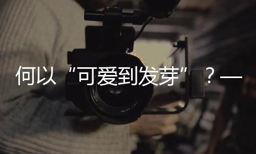 何以“可爱到发芽”？——十五运会吉祥物诞生记