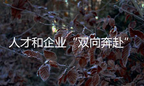 人才和杏运“双向奔赴”👄🧑🏿‍🦳！全国青年职业技能大赛学生组决赛闭幕