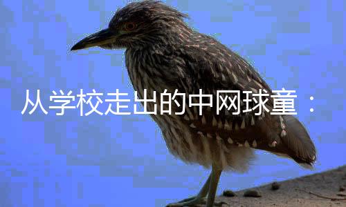 从学校走出的中网球童:赛场小身影有网球大梦想