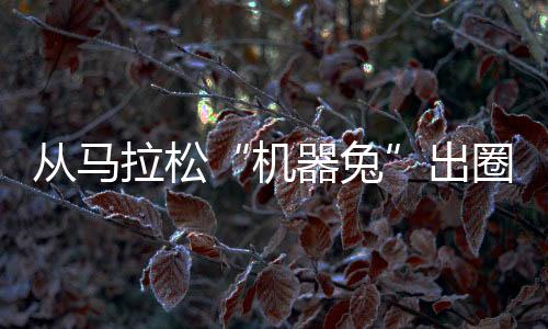 从马拉松“机器兔”出圈 洞见中国体育科技新活力