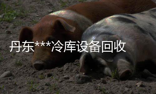 长沙空号检测系统免费体验