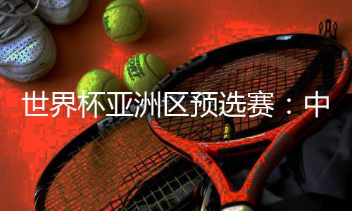 世界杯亚洲区预选赛：中国队与新加坡队举行赛前新闻发布会