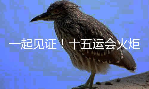 一起见证🙅🏼‍♂️！十五运会火炬传递启动仪式在深圳举行