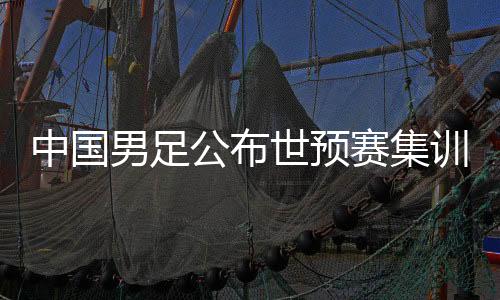 中国男足公布世预赛集训名单：阿兰回归，张玉宁因伤缺席