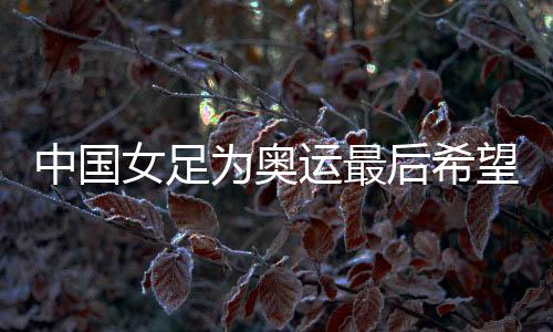 中国女足为奥运最后希望而战,遭遇韩国队胜率几何?