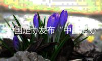 中国足协发布“中国足协球员自荐系统” 自荐、选拔如何进行🧑🏼🔬?