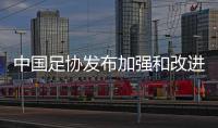 中国足协发布加强和改进足球裁判公正执裁的若干措施