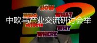 中欧马产业交流研讨会举办 李耀锋分享马术传承感悟