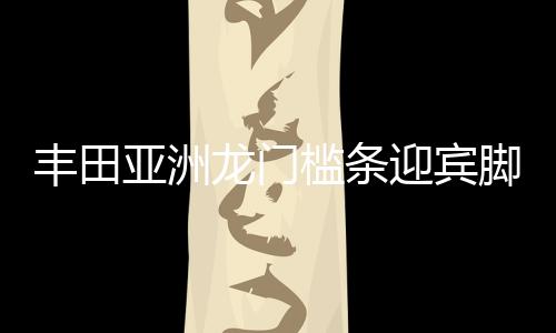 丰田亚洲龙门槛条迎宾脚踏板防踩保护贴车内装饰汽车用品配件改装