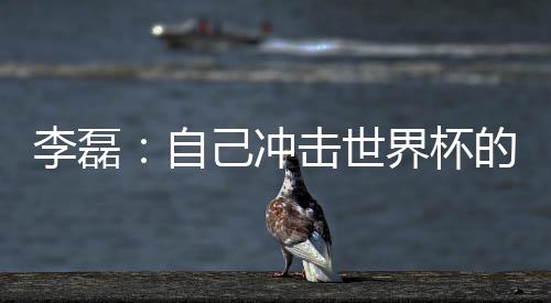 李磊:自己冲击世界杯的最后一次机会,不留遗憾