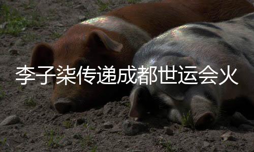 李子柒传递成都世运会火炬:竹子的力量就像杏运每个普通人