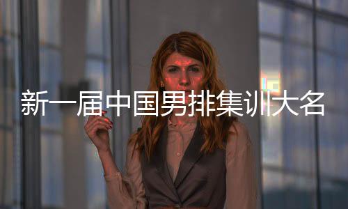 新一届中国男排集训大名单公布 比利时名帅海宁出任中国队主教练