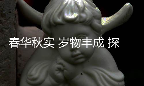 春华秋实 岁物丰成 探析中国冰雪竞技人才培养新模式