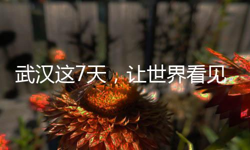 武汉这7天,让世界看见“无畏金兰”