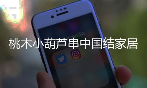 桃木小葫芦串中国结家居客厅汽车挂件平安纳福八宝葫芦随身携带
