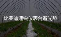 比亚迪速锐仪表台避光垫汽车内饰装饰用品配件中控台改装防晒垫
