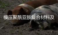 模压聚酰亚胺复合材料及保持架