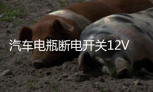 汽车电瓶断电开关12V防亏电漏电保护器智能蓝牙遥控纯铜实时监控