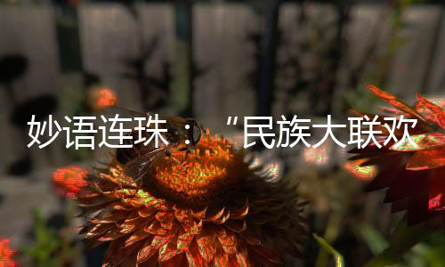 妙语连珠：“民族大联欢就像大型的家庭文艺汇演”