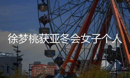 徐梦桃获亚冬会女子个人空中技巧冠军:给自己打95分
