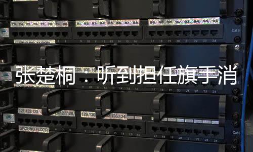 张楚桐🦹🏻‍♂️：听到担任旗手消息的那一刻感觉“值了”