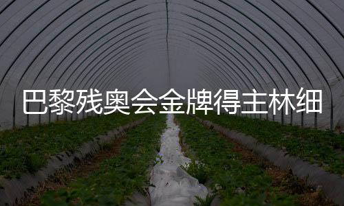 巴黎残奥会金牌得主林细妹、麦建朋谈夺冠感想 盼未来再创佳绩