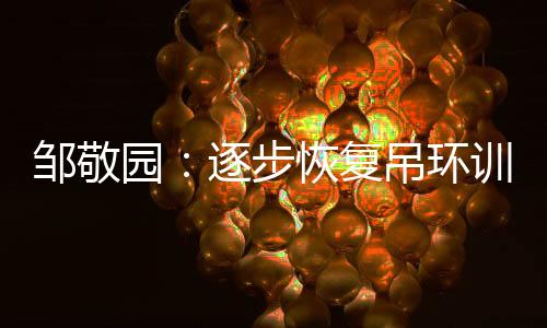 邹敬园:逐步恢复吊环训练,期待世锦赛有好的表现