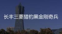 长丰三菱猎豹黑金刚奇兵飞腾6481内饰改装饰汽车配件仪表台避光垫