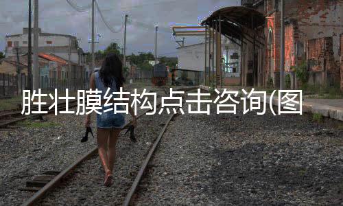 夹芯彩钢瓦规格 鑫旺达 彩钢瓦尺寸