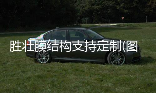 鑫旺达 岩棉净化板材质 净化板尺寸