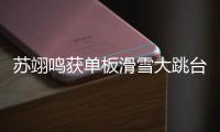 苏翊鸣获单板滑雪大跳台世界杯赛季总冠军