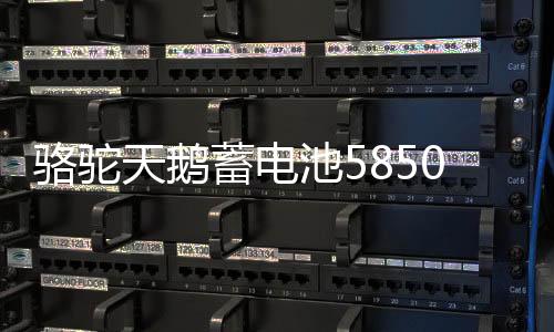 骆驼天鹅蓄电池58500免维护12V48AH五菱之光荣光原装汽车电瓶