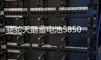 骆驼天鹅蓄电池58500五菱荣光之光面包车北汽汽车电瓶12V48AH电池