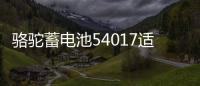 骆驼蓄电池54017适用比亚迪F0汽车电瓶40AH 以旧换新