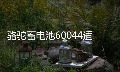 骆驼蓄电池60044适用路虎揽胜宝马7系奔驰S级12V100AH汽车电瓶