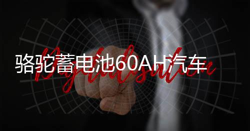 骆驼蓄电池60AH汽车电瓶L2400适配斯柯达明锐昊锐昕锐科鲁兹速派