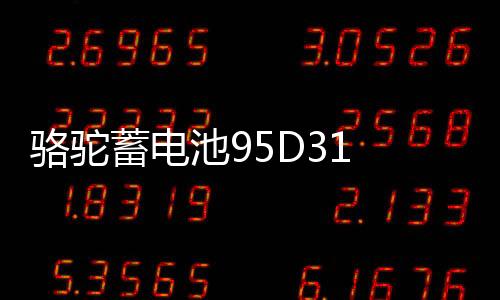 骆驼蓄电池95D31 蓄电池双龙长城皮卡照明汽车电瓶126114133V85AH