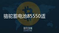 骆驼蓄电池85550适配凯越雪佛兰吉普指南者汽车电瓶55AH 以旧换新
